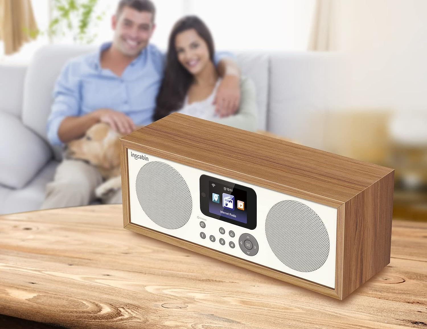 Inscabin D4 Portable Internet Radio with Bluetooth Spotify Connect